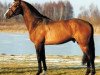 Deckhengst Tornesch (Koninklijk Warmbloed Paardenstamboek Nederland (KWPN), 2000, von Lux Z)