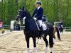 Dressurpferd Fred Astaire F (Oldenburger, 2015, von Blue Hors First Choice)