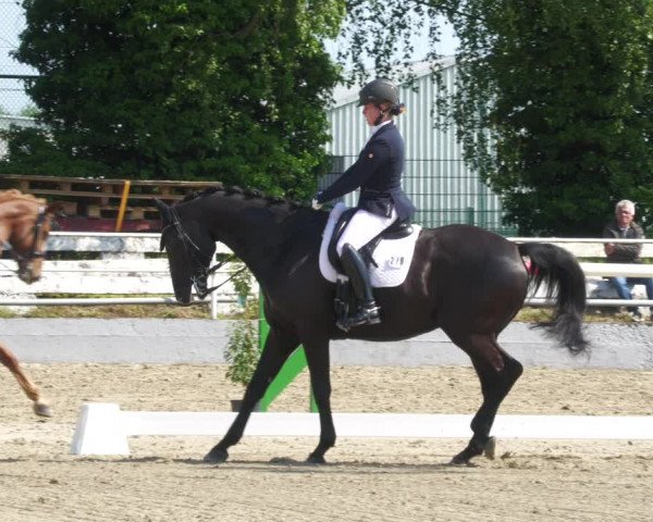 Reitturnier Billigheim 2023