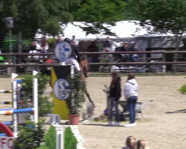 Reitturnier Kirchhellen 2023