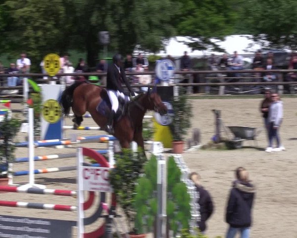 Reitturnier Kirchhellen 2023