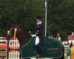 dressage horse Fine Spirit 3 (Hanoverian, 2008, from Fidertanz)