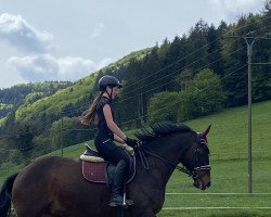 dressage horse Daimond Sky W (Mecklenburg, 2014, from Coal Diamond)