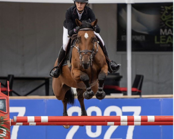 Springpferd Iron Lady van de Kranenburg (Belgium Sporthorse, 2014, von Thunder van de Zuuthoeve)