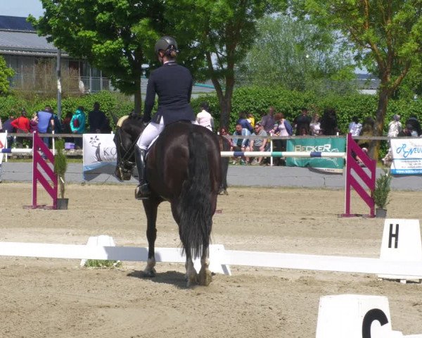 Reitturnier Billigheim 2023