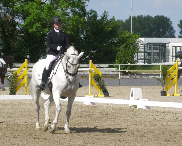 Reitturnier Billigheim 2023