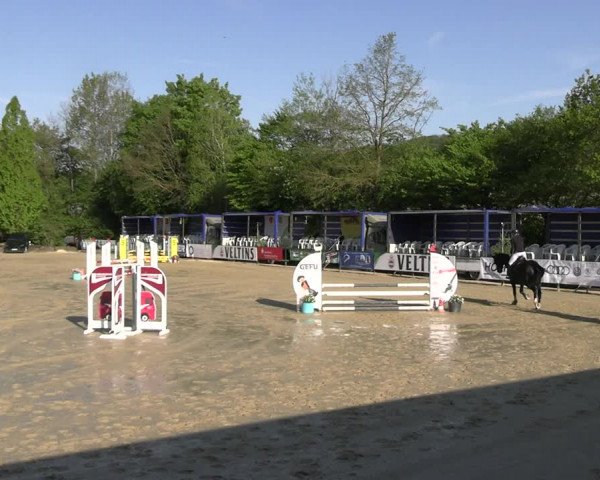Reitturnier Hellefeld 2023