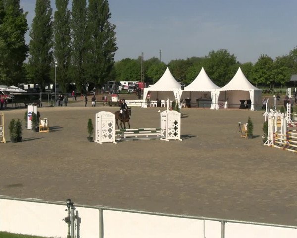 Reitturnier Hamm- Rhynern 2023