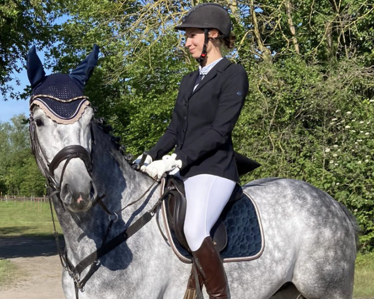 jumper Crazy Greyman (Hanoverian, 2019, from Grey Top)