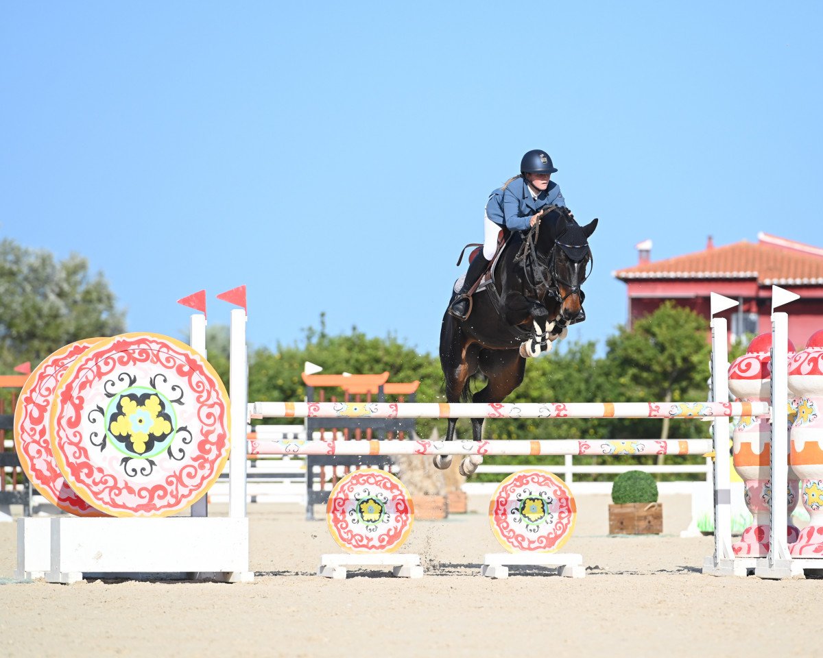 Springpferd Chutter du Rouet PS (Oldenburger Springpferd, 2016, von Chacoon Blue)