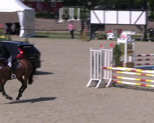 Reitturnier Hamm- Rhynern 2023