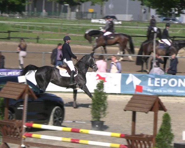 Reitturnier Hamm- Rhynern 2023