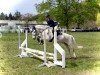 dressage horse Duran 69 (German Riding Pony, 2003)