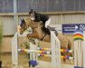 jumper Ochtenhusen's Fredseletta (German Riding Pony, 2012, from Fb Gangster)