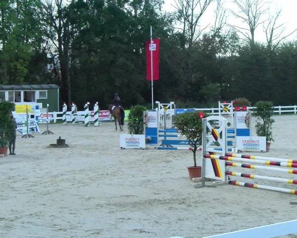 Reitturnier Isny-Rohrdorf 2021