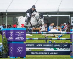 jumper Jewel de Kwakenbeek (Belgian Warmblood, 2009, from Cicero Z van Paemel)