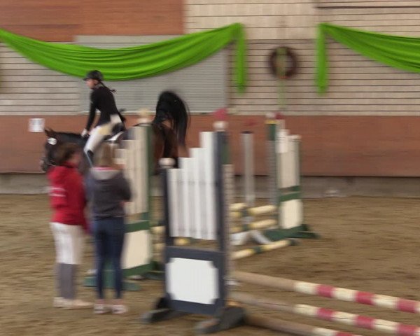 Reitturnier Hellefeld 2023