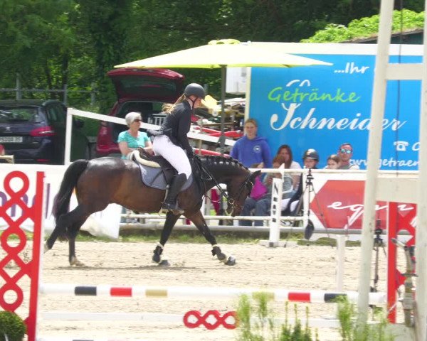 Reitturnier Billigheim 2023
