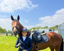 jumper Oreo-Sitte (Oldenburg show jumper, 2019, from Ogano Sitte)