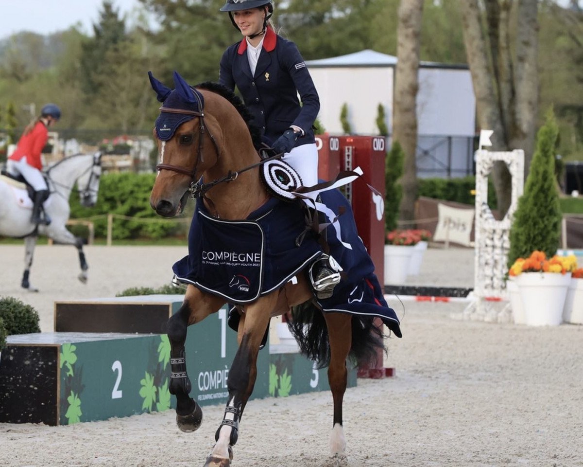 stallion Diamond's Dream (Selle Français, 2013, from Canabis Z)