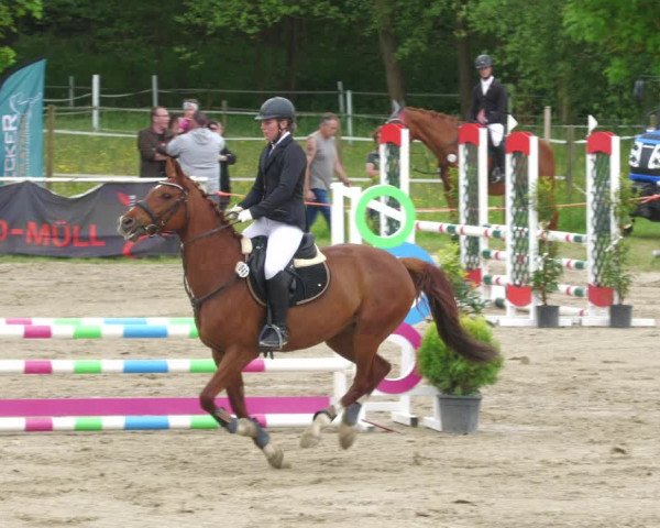 Reitturnier Billigheim 2023