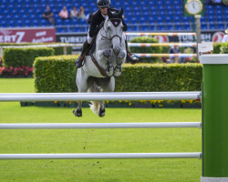 broodmare Toveks Azaria Dinero (Selle Français, 2010, from Mylord Carthago)