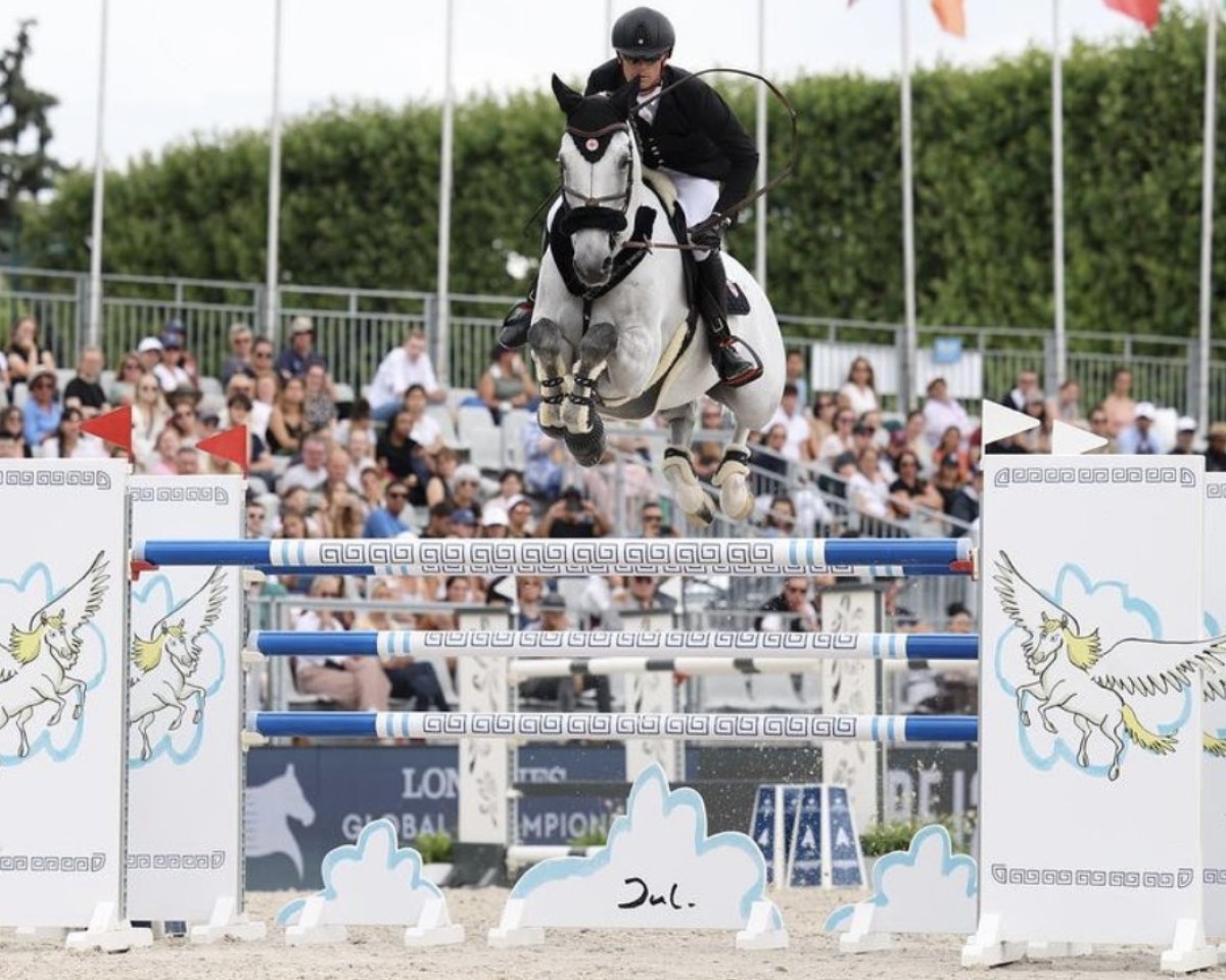 jumper Great Britain V (Belgium Sporthorse, 2012, from Nabab de Rêve)