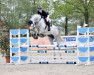 jumper Action Anton 3 (Oldenburg show jumper, 2017, from Action Blue)