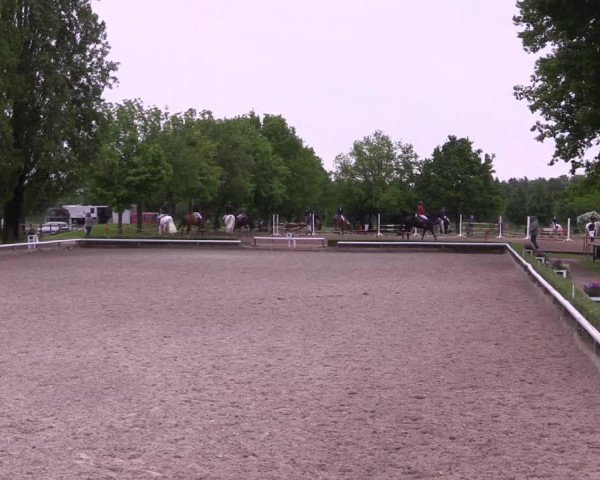 Reitturnier Hamm- Rhynern 2023