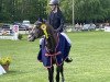 jumper Milow 13 (German Riding Pony, 2006, from Mangold)