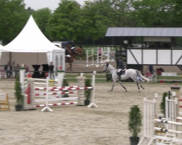 Reitturnier Hamm- Rhynern 2023