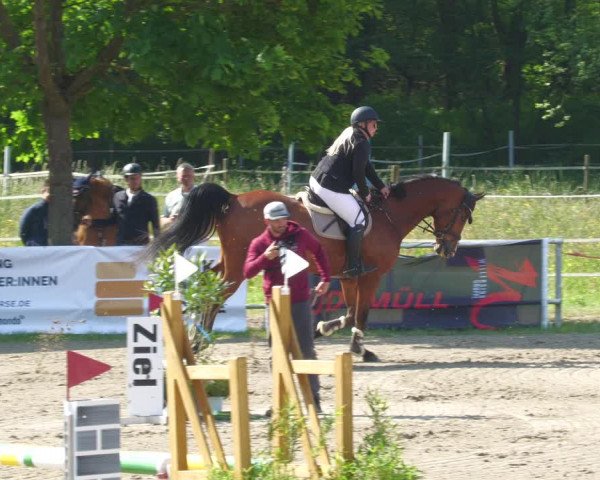 Reitturnier Billigheim 2023