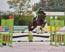 jumper Corleone IX (Hessian Warmblood, 2008, from Castus I)