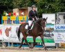 Springpferd Tabasco CH (Schweizer Warmblut, 2017, von Tresor)