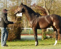 stallion Secret Singer xx (Thoroughbred, 1999, from Singspiel xx)