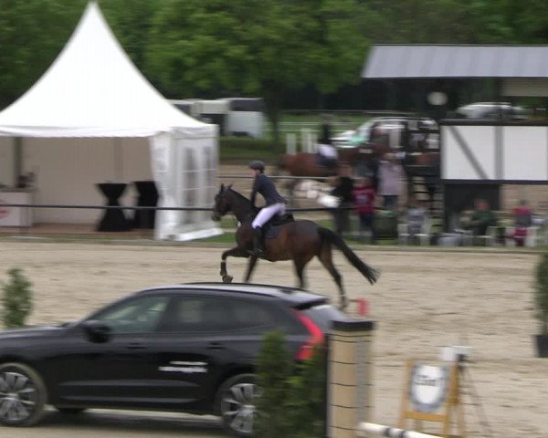 Reitturnier Hamm- Rhynern 2023