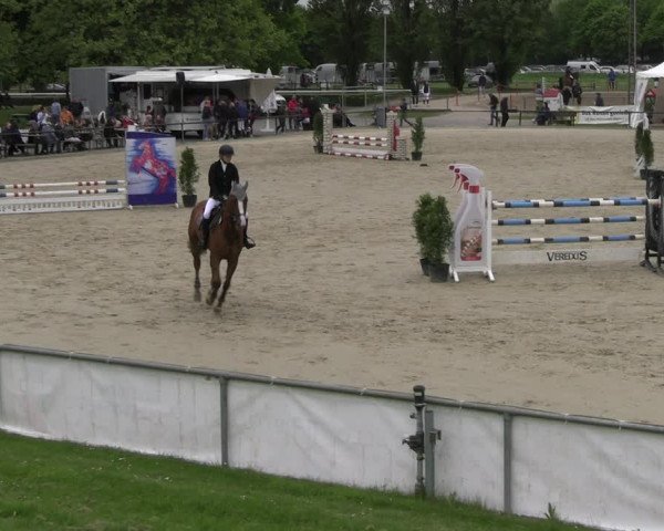 Reitturnier Hamm- Rhynern 2023
