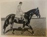 stallion Lupus xx (Thoroughbred, 1925, from Herold xx)