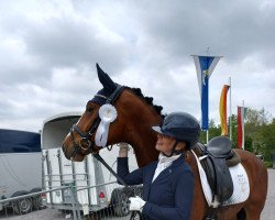 dressage horse Escoffier 4 (Westphalian, 2019, from Estobar NRW)