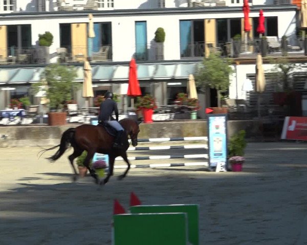 Erntedank Springturnier Nörten-Hardenberg 2021