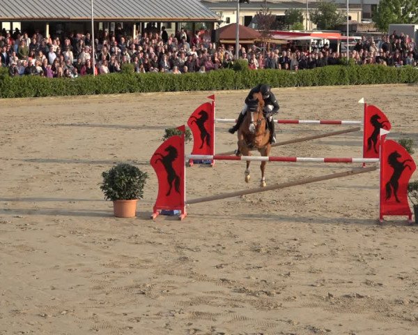 Reitturnier Bornheim Widdig 2023