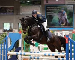 jumper Calina 127 (Hanoverian, 2015, from Calido I)