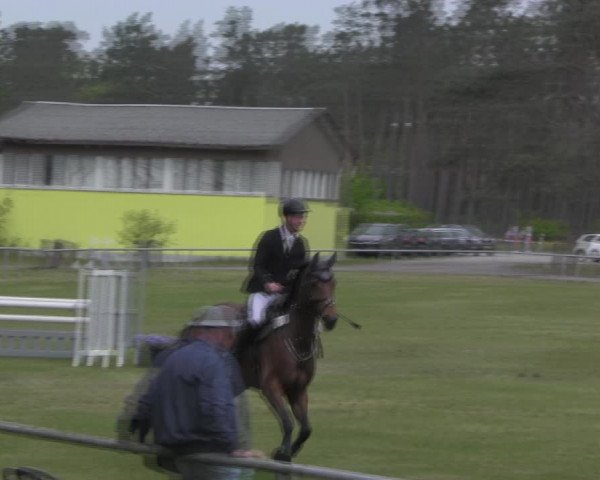 Reitturnier Kakerbeck 2023