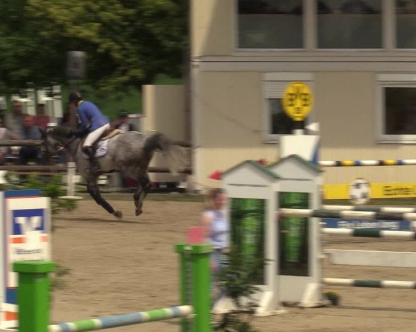 Reitturnier Kirchhellen 2023