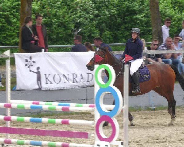 Reitturnier Billigheim 2023
