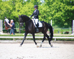 dressage horse Frozen S (Hanoverian, 2018, from For Romance I)