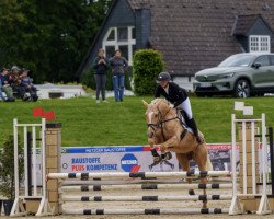 dressage horse Quentino Royal (Rhinelander, 2017, from Qaside Md)