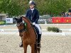 dressage horse Pitti Pit (German Riding Pony, 2015, from Playback)