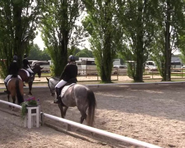 Reitturnier Hamm- Rhynern 2023