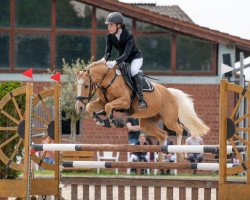 dressage horse Top Princess 2 (German Riding Pony, 2009, from Top Champy)